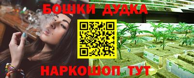 шишки Донецк
