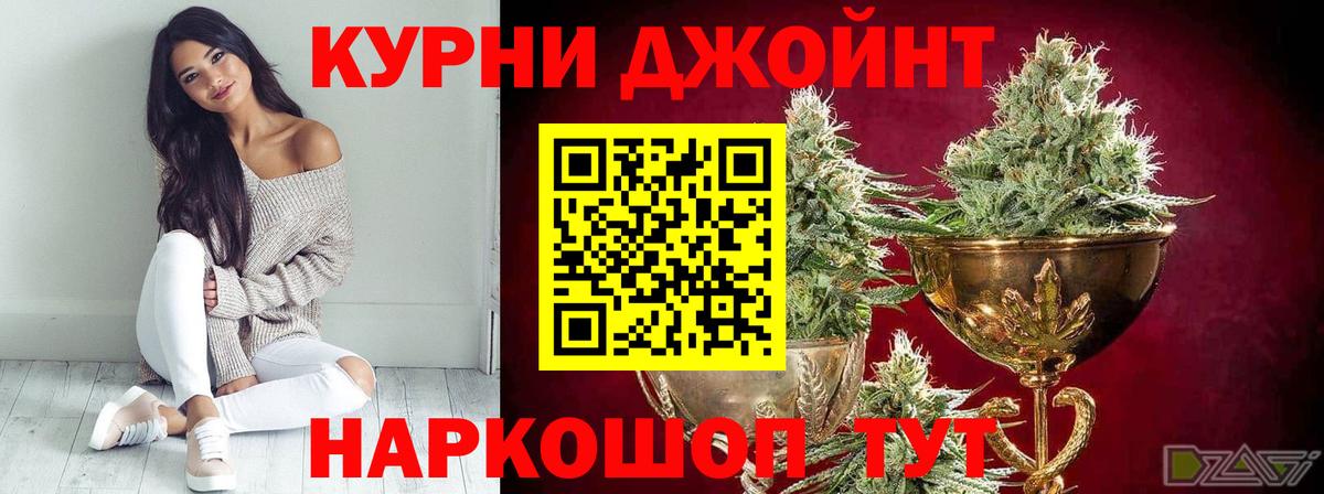 Марихуана конопля Майский